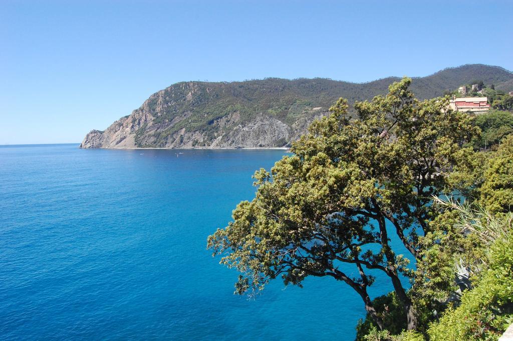 Pensión Irene Monterosso al Mare